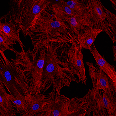 1642561237155351.png 圖片3.png