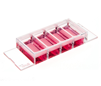 (ibidi)μ-Slide 4孔腔室載玻片-80426 80422 80424 80421 80427 80446 80442 80444 80441 80447