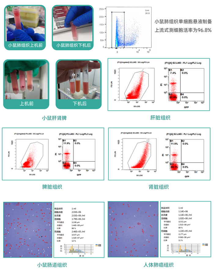 實驗效果 JX-CKSM-4WK 實驗效果 JX-CKSM-4WK