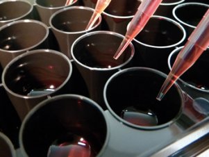 (ibidi)μ-Plate 24孔板/96孔板/384孔板-82406 82401 89626 89621 88401